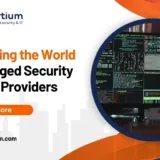 Navigating the World of Managed Security Service Providers