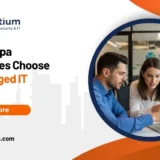 Why Tampa Businesses Choose Co-Managed IT