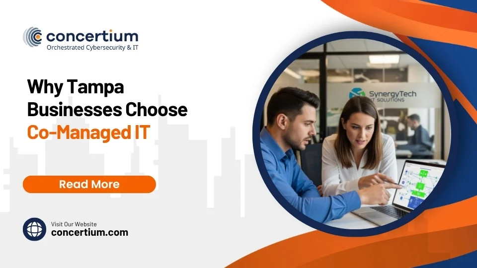 Why Tampa Businesses Choose Co-Managed IT