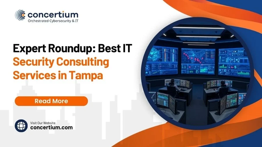 Expert Roundup: Best IT Security Consulting Services in Tampa